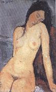Amedeo Modigliani Seted Nude (mk39) painting